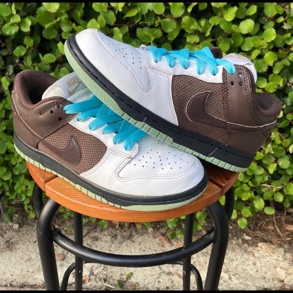 Women’s Nike Dunks